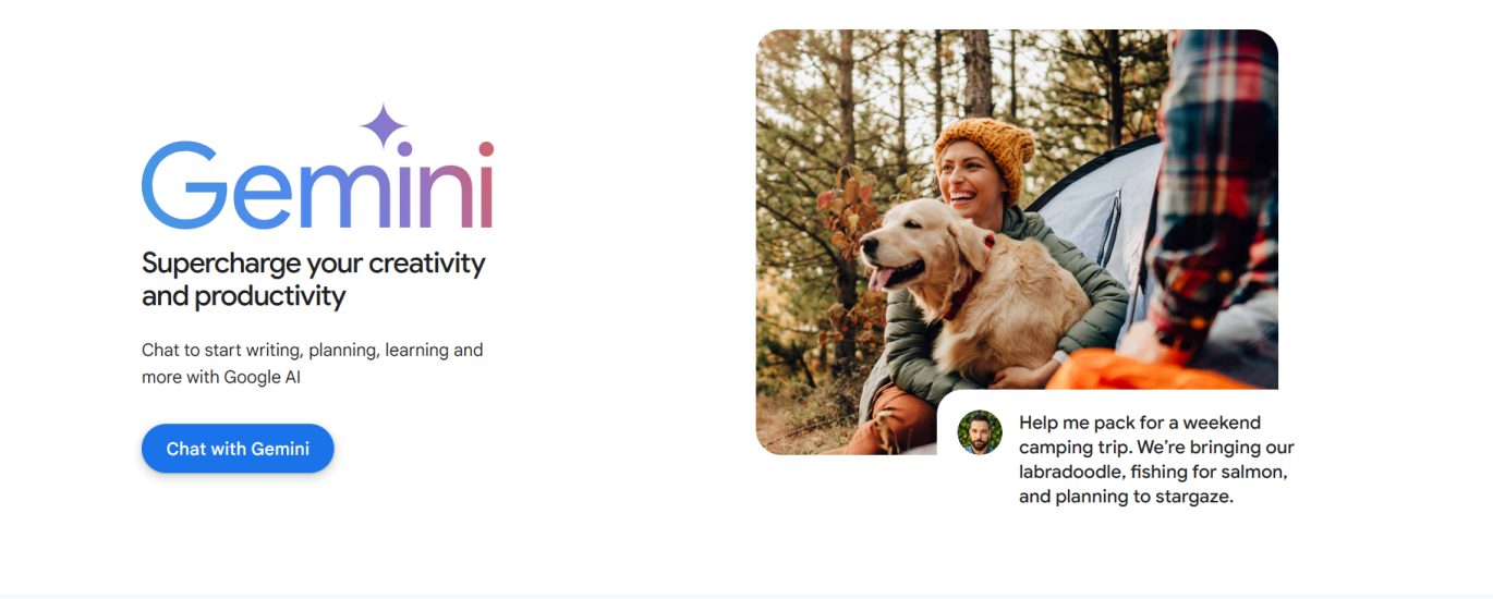 Google Gemini