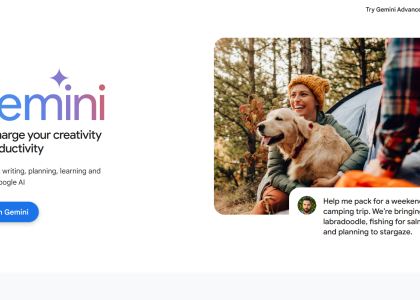 Google Gemini